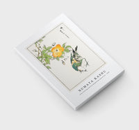 Numata Kashu - Grey Starling and Cercidiphyllum Japonicum illustration from Pictorial Monograph of Birds (1885)