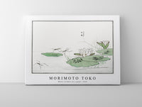Morimoto Toko - Water striders on a pond illustration from Churui Gafu (1910)