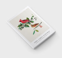 John James Audubon - Cardinal Grosbeak from Birds of America (1827)