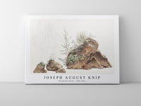 Joseph August Knip - Overgrown Rocks (ca. 1809–1812)