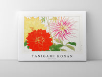 Tanigami Konan - Dahlia flower