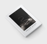 Odilon Redon - And Bound Him a Thousand Years 1899