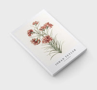 Johan Teyler - Six carnations