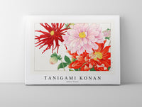 Tanigami Konan - Dahlia flower