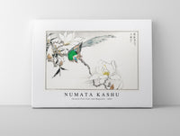 Numata Kashu - Chinese Tree Pipit and Magnolia illustration from Pictorial Monograph of Birds (1885)