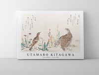 Utamaro Kitagawa - Uzura Hibari 1753-1806