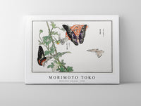 Morimoto Toko - Butterflies and plant illustration from Churui Gafu (1910)