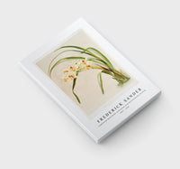 Frederick Sander - Cymbidium (hybridum) winnianum from Reichenbachia Orchids-1847-1920