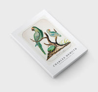 Charles demuth - Two Parrots on a Barren Tree-1916