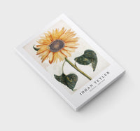 Johan Teyler - Sunflower (1688-1698)