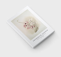 Frederick Sander - Dendrobium (hybridum) venus-1847-1920