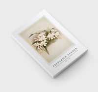 Frederick Sander - Coelogyne cristata maxima from Reichenbachia Orchids-1847-1920