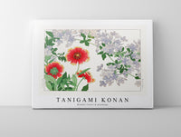 Tanigami Konan - Blanket flower & plumbago