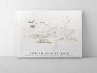 Joseph August Knip - Studieblad met planten en watervogels (study sheet with plants and waterfowl)