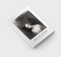 Odilon Redon - The Fallen Angel Spreads His Black Wings 1886