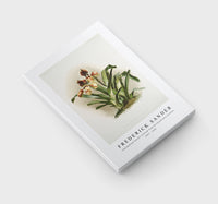 Frederick Sander - Cypripedium boxalli atratum from Reichenbachia Orchids -1847-1920