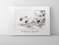 Numata Kashu - Japanese Crane and Bamboo illustration from Pictorial Monograph of Birds (1885)