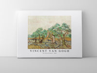 Vincent Van Gogh - The Olive Orchard 1889