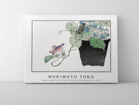 Morimoto Toko - Japanese paper-cutter beetle illustration from Churui Gafu (1910)