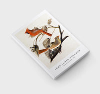 John James Audubon - Cardinal Grosbeak (1811)