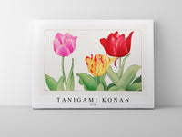 Tanigami Konan - Tulip