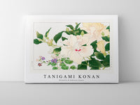 Tanigami Konan - Browallia & Hibiscus flower