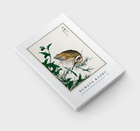 Numata Kashu - Greenshank and Bupleurum Sachalinense illustration from Pictorial Monograph of Birds (1885)