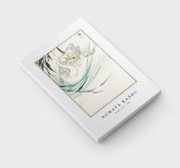 Numata Kashu - Wooper Swan illustration from Pictorial Monograph of Birds (1885)