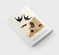 John James Audubon - Bank Swallow and Violet-green Swallow from Birds of America (1827)