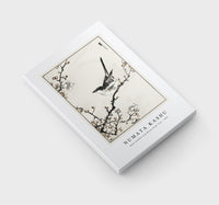 Numata Kashu - Bush-warbler and White Plum Tree illustration from Pictorial Monograph of Birds (1885)