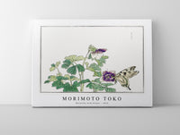 Morimoto Toko - Butterfly with flower illustration from Churui Gafu (1910)