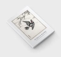 Numata Kashu - Hondo Great Spotted Woodpecker illustration from Pictorial Monograph of Birds (1885)