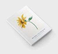 Michiel Van Huysum - Branch with a sunflower (1714–1760)