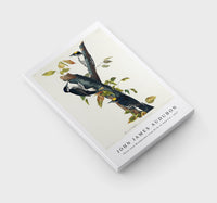 John James Audubon - Three-toed Woodpecker from Birds of America (1827)