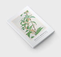 Megata Morikaga - Stem with leaves and small flowers during 1870–1880