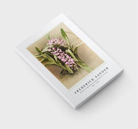 Frederick Sander - Aërides savageanum from Reichenbachia Orchid-1847-1920