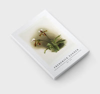 Frederick Sander - Cypripedium lathamianum inversum from Reichenbachia Orchids-1847-1920