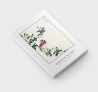 Numata Kashu - Japanese Long-tailed Rosefinch illustration from Pictorial Monograph of Birds (1885)