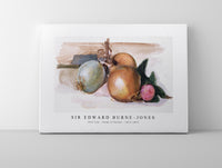 Sir Edward Burne Jones - Still-Life - Study of Onions (1871–1875)