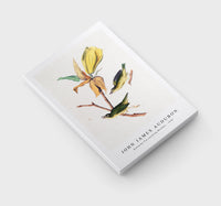 John James Audubon - Kentucky Fly-catching Warbler (1830s)