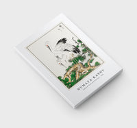 Numata Kashu - Japanese Stork and Pine Tree illustration from Pictorial Monograph of Birds (1885)