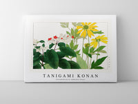 Tanigami konan - Clerodendrum & rudbeckia flower