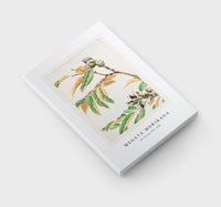 Megata Morikaga - Shi during 1870–1880