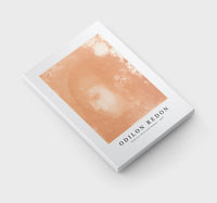 Odilon Redon - Head of a Child with Flowers 1897