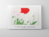 Tanigami Konan - Vintage poppy flower