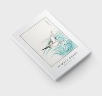 Numata Kashu - Mongolian Plover illustration from Pictorial Monograph of Birds (1885)