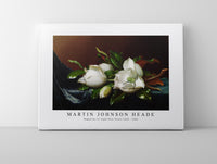 Martin Johnson Heade - Magnolias on Light Blue Velvet Cloth (ca. 1885)