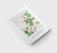 Megata Morikaga - Kuchi nashi (cape jasmine) during 1870–1880