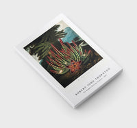 Robert John Thornton - The Maggot–Bearing Stapelia from The Temple of Flora (1807)