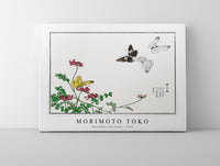 Morimoto Toko - Butterflies and flower illustration from Churui Gafu (1910)